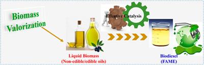 Advancements in Tobacco (Nicotiana tabacum L.) Seed Oils for Biodiesel Production